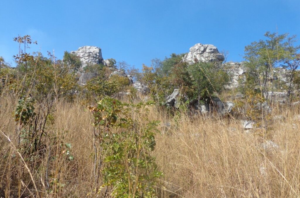 The Ancient Rock Art Of The Twa People